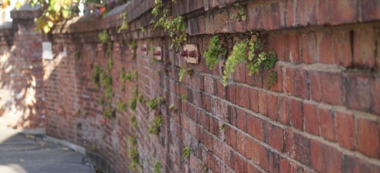 千葉の四季と台風に負けない快適な暮らしのための屋根リフォーム徹底ガイド 千葉の四季と台風に負けない快適な暮らしのための屋根リフォーム徹底ガイド